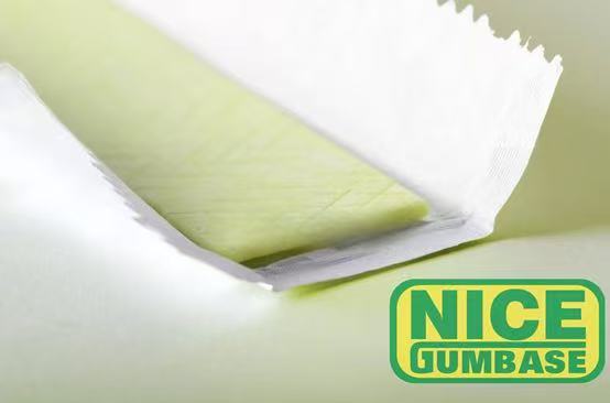 قاعدة اللثة