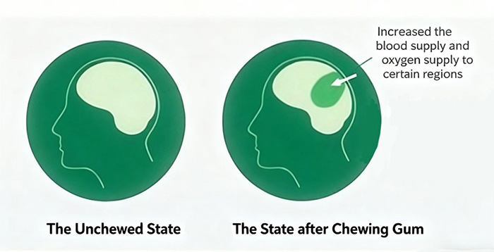 قاعدة اللثة