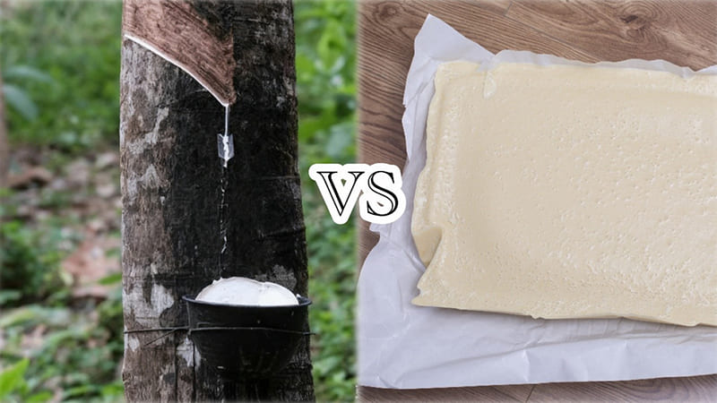 قاعدة اللثة