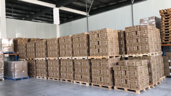 صفائح قاعدة العلكة - SH002